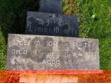 image of grave number 172744